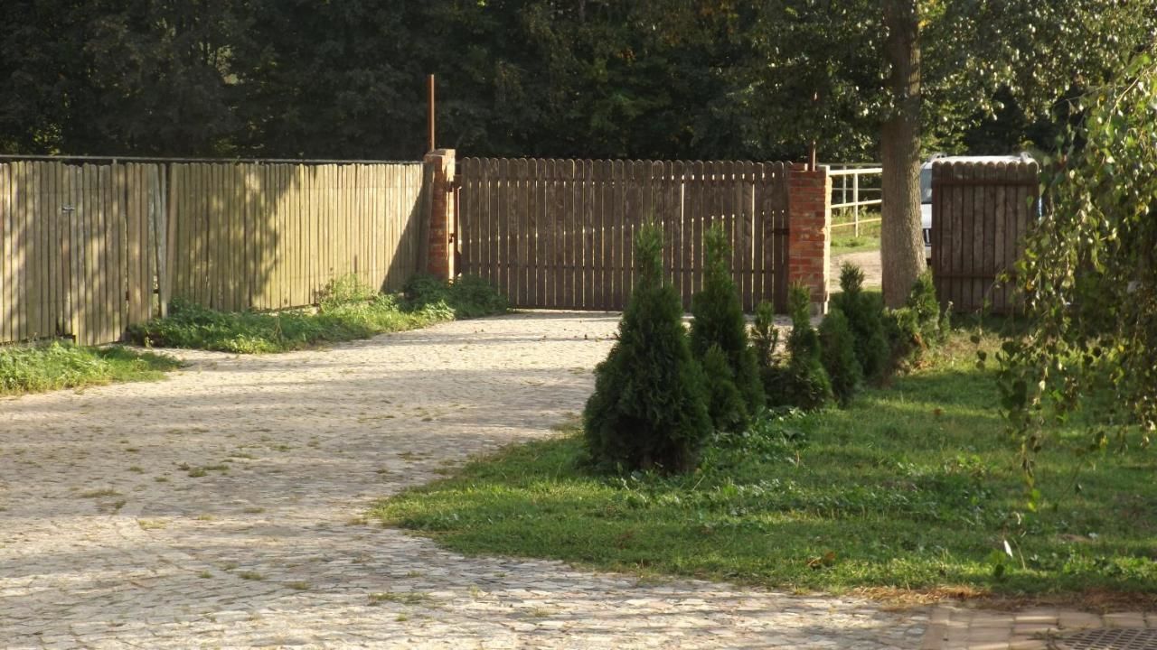 Фермерские дома Agroturystyka Drwęck - Olsztynek Ольштынек-5